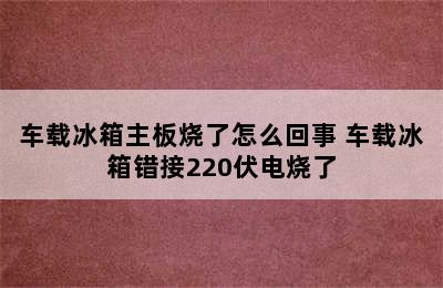 车载冰箱主板烧了怎么回事 车载冰箱错接220伏电烧了